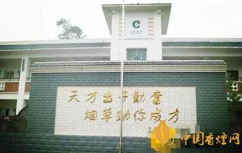 利群品牌创建于哪一年,利群香烟品牌发展史