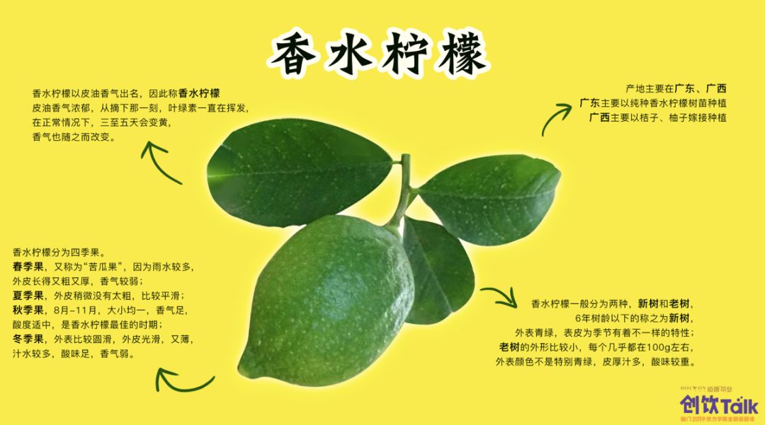 疯狂的柠檬水,今年最火爆的柠檬茶饮品