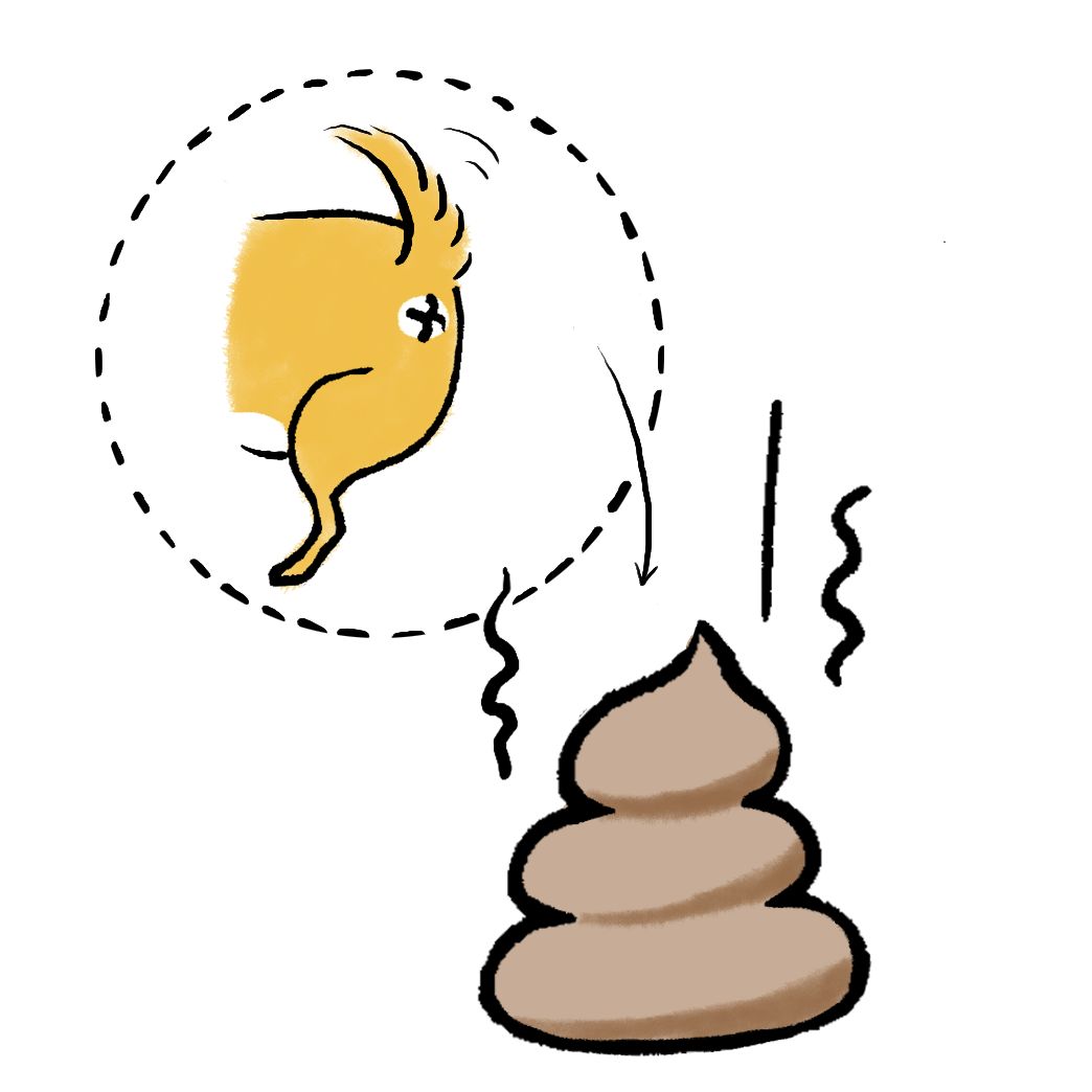 垃圾分类手册的教程,垃圾分类讲解的提纲