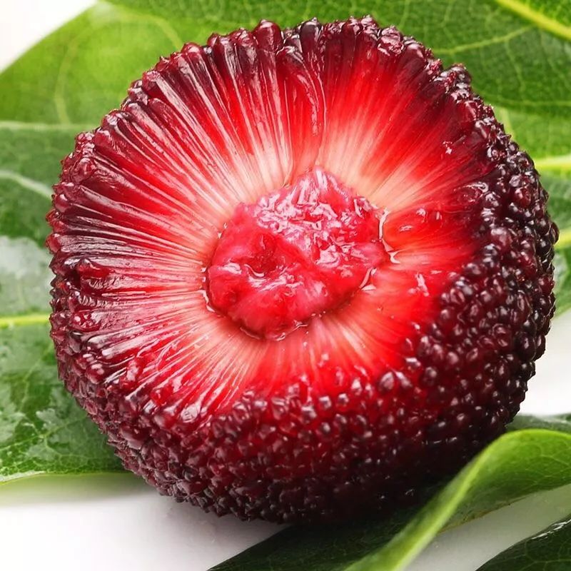 果期仅15天，*安泰**半野生珍珠杏！一口咬下满满桂花香，从牙齿蜜甜到腰！|吃货精选