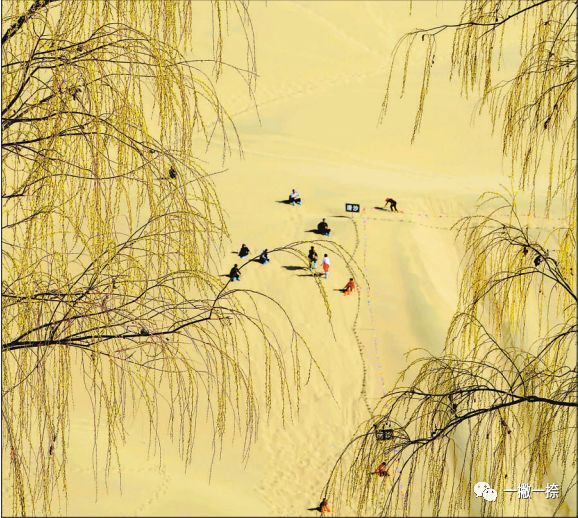 人民日报最经典的照片,人民日报年度好照片