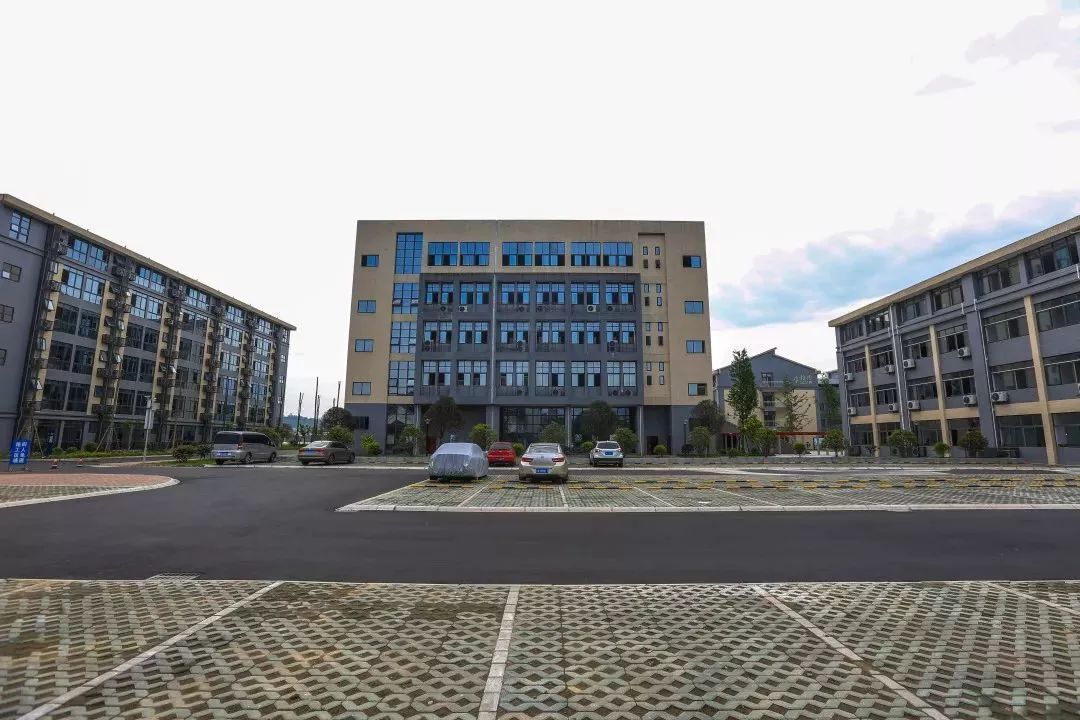 成实外雅安校区为什么选择直升,成实外学校雅安校区费用