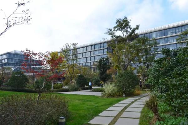 苏州园林发展公司,苏州园林发展股份有限公司夏文亭