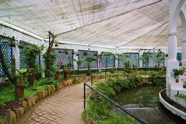 巴西是怎么成为足球王国的,巴西足球王国