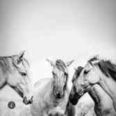 北新路桥股票601020,北新路桥股吧东方财富网