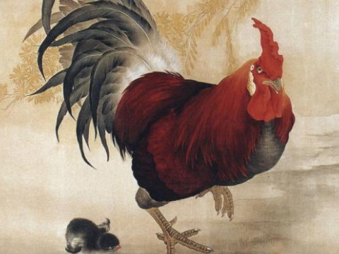 1981年属鸡的男生婚姻状况如何,1981年属鸡婚姻会离婚吗