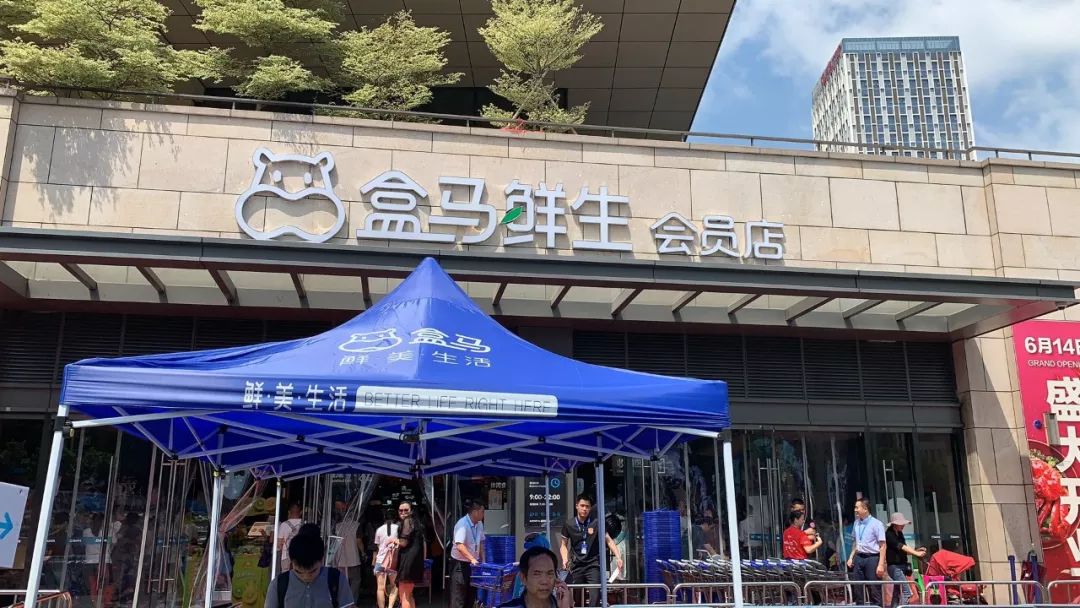 广州帝王蟹去哪买,番禺帝王蟹