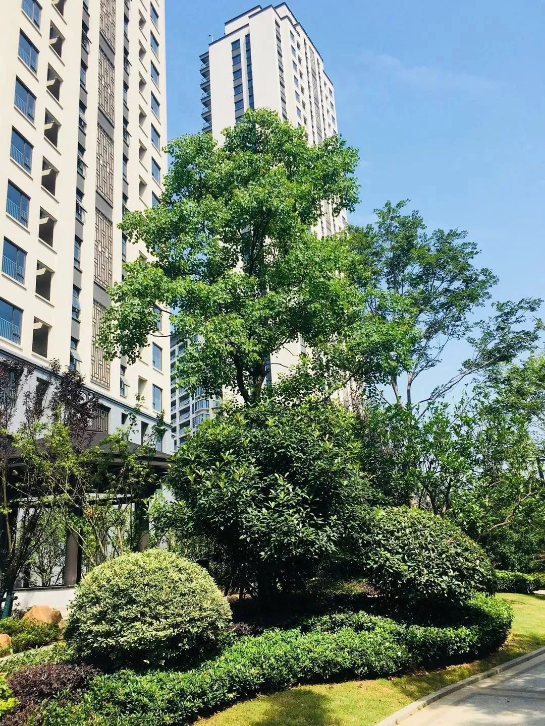 鍐涜繍鏉戣繍鍔ㄥ憳浣忓,鍖椾含鍐涜繍鏉戣繍鍔ㄥ憳鍏瘬