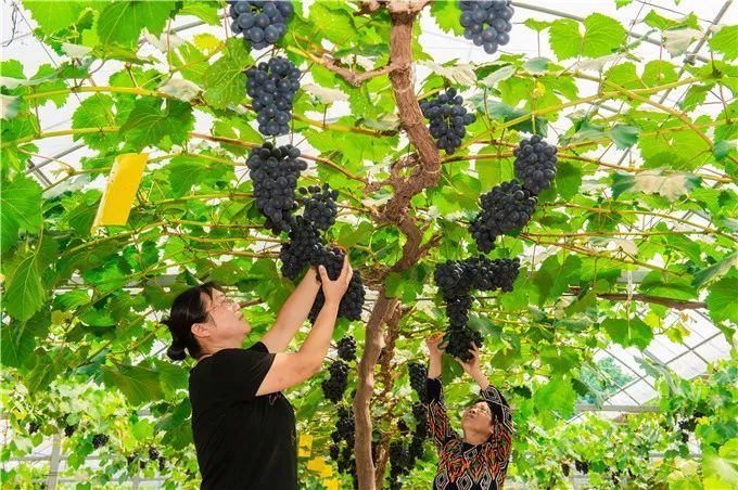 视觉一周,视觉眼镜张家港