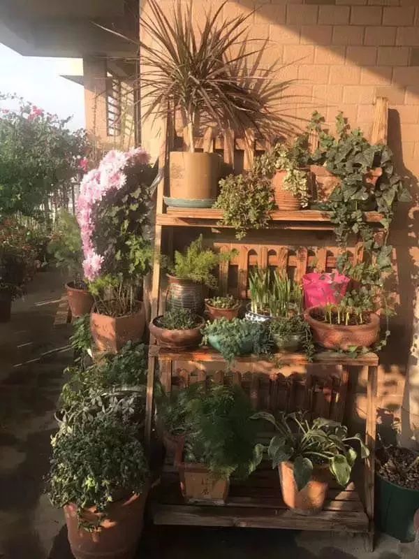 打造美好幸福的家,打造一片天地