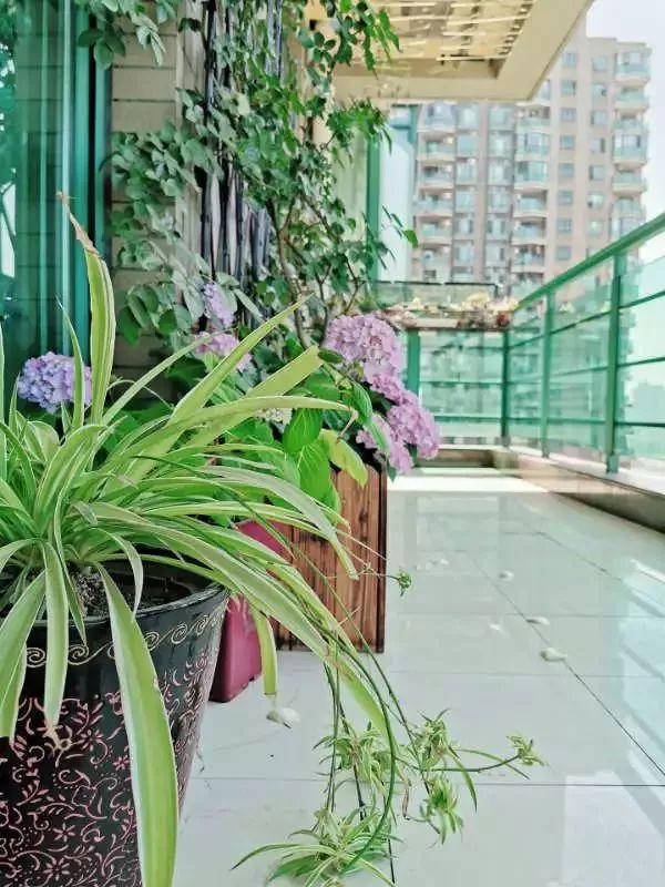 打造美好幸福的家,打造一片天地