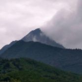 亚盛集团股票好吗,亚盛集团股吧同花顺