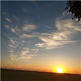 招商南油股吧同花顺,招商南油历史最高价