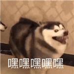 怎么样才能像杨幂的身材,怎么才能拥有杨幂的身材