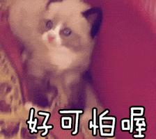 被艾滋病人咬一口会被感染吗,被艾滋病患者咬一口能感染吗