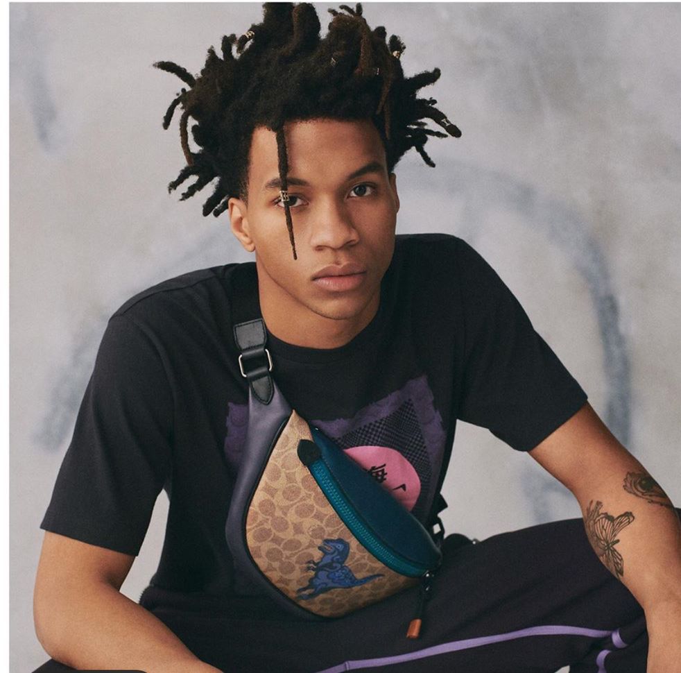 coach恐龙变身,fashion艺术家