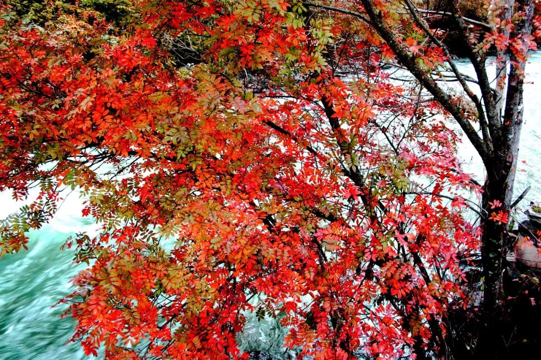 川西川西南,川西大环线适合几月去