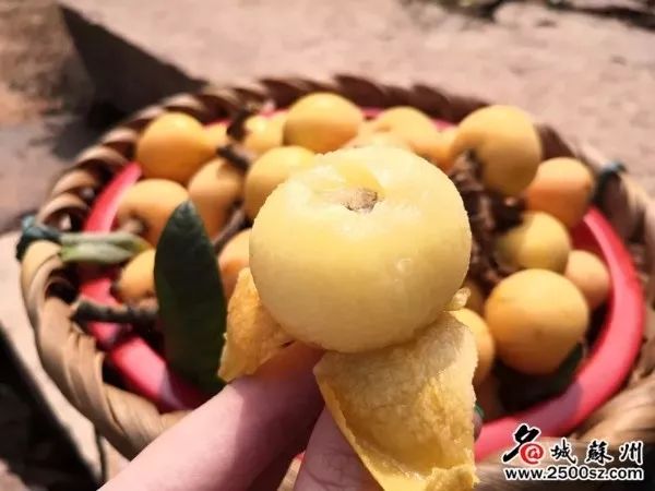 老苏州人喜欢的美食,苏州美食小时候的味道