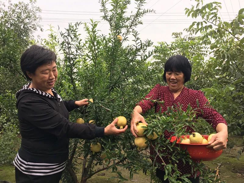 宋家庄村的未来规划,宋家庄未来5年规划