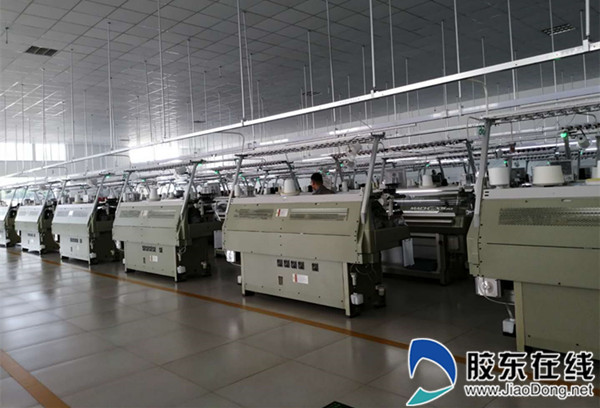 海阳毛衫产业创新园,海阳市毛衫产业发展