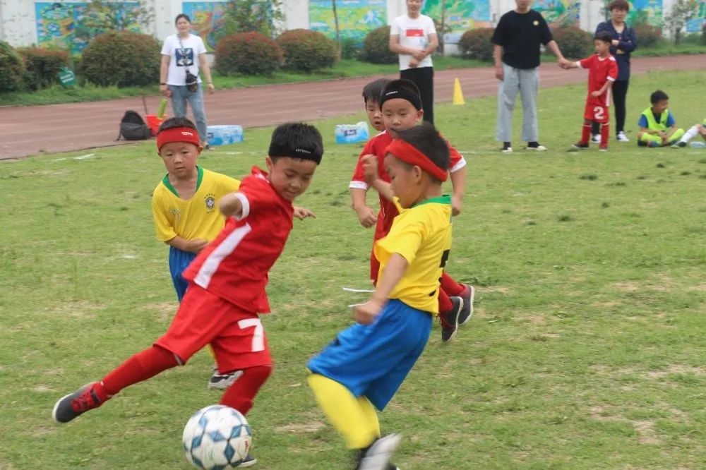 温州市幼儿足球联赛,拱墅区第二届幼儿足球比赛要求