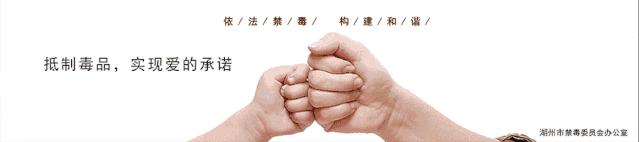 六月光影,六月湖州景色