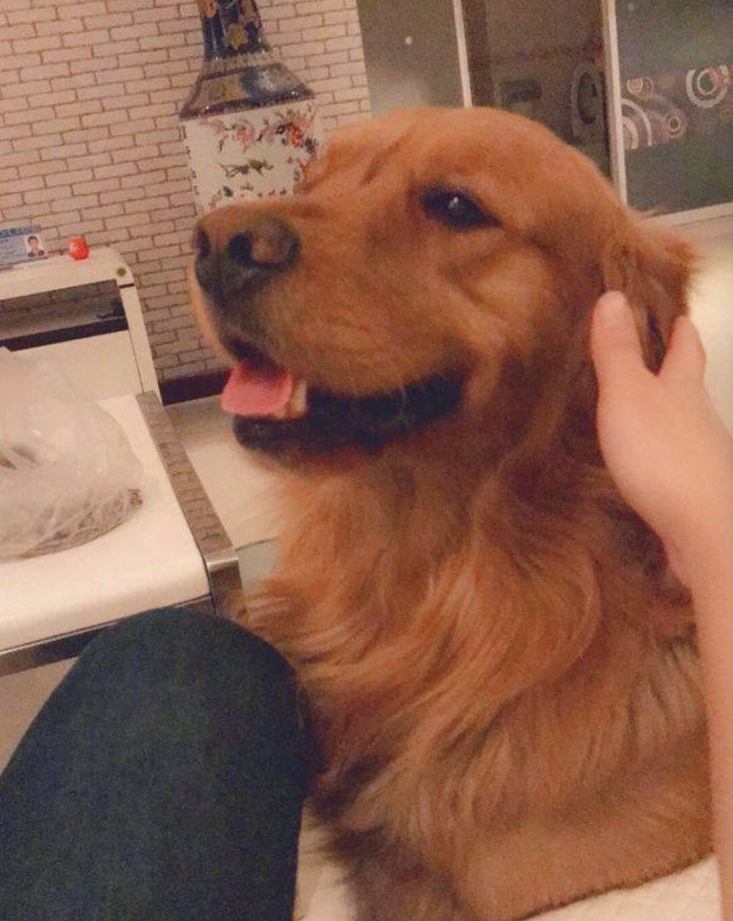 我终于战胜了抑郁症,感谢医生治好了抑郁症