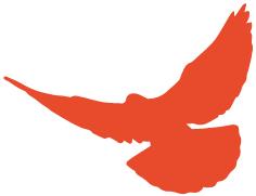 农村相关创业技术培训,农村创业网络知识培训课程