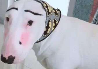 Beauty|TF贵妇？YSL绿了？各*彩大**妆品牌19夏季限定大盘点~