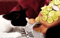 淘宝上的纯天然护肤品是假的,淘宝上护肤品靠谱吗