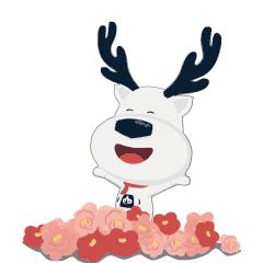 新生儿耳廓矫正郑州,新生儿耳廓修复