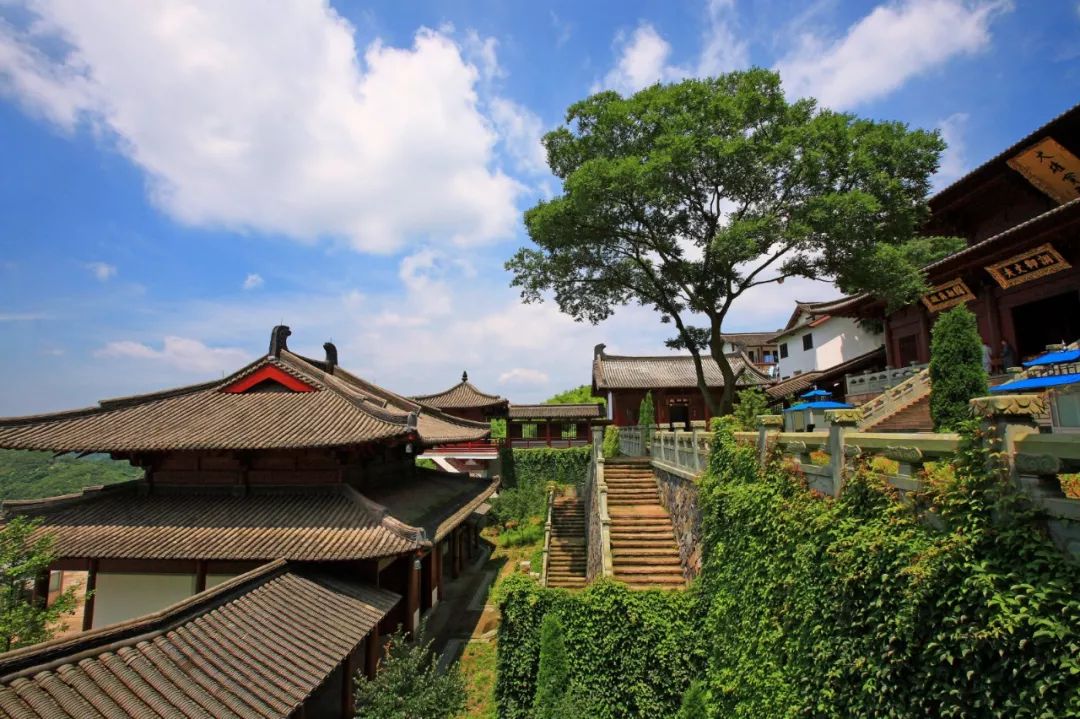 这座跟着周杰伦空降热搜的杨梅味小城,休渔期也能让你吃得满嘴鲜