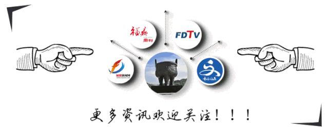 茶林套种黄豆,茶林套种