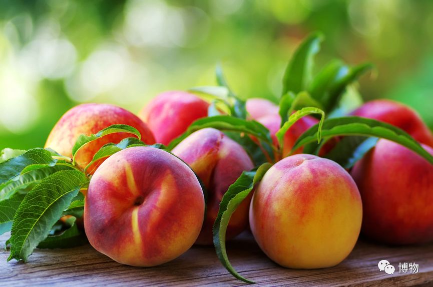 桃子煮米饭，你猜是不是黑暗料理？