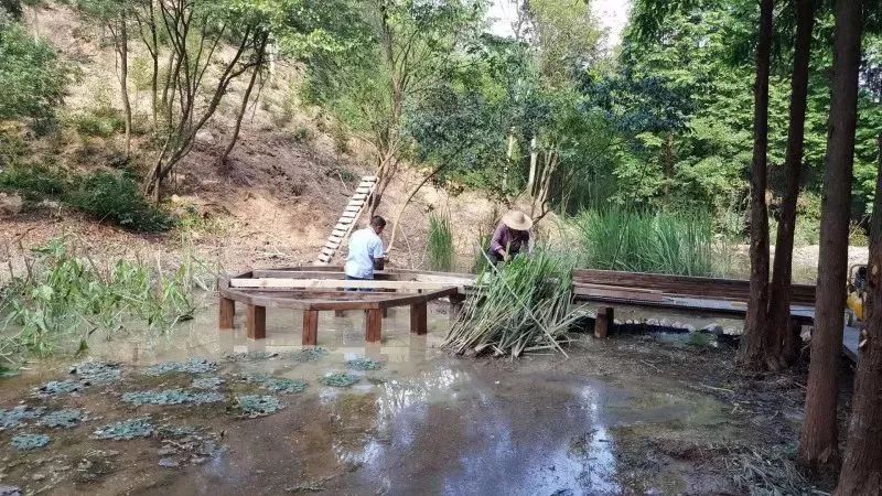 莫干山萤火虫基地住宿,莫干山云起萤光水森林萤火虫基地