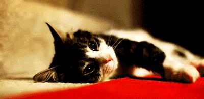 半夜睡醒嘴里发苦发臭怎么解决,夜里睡觉嘴里发干发苦吃什么药