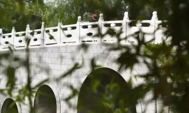 郑州湿地公园有啥好玩的,郑州周边的这七大湿地公园