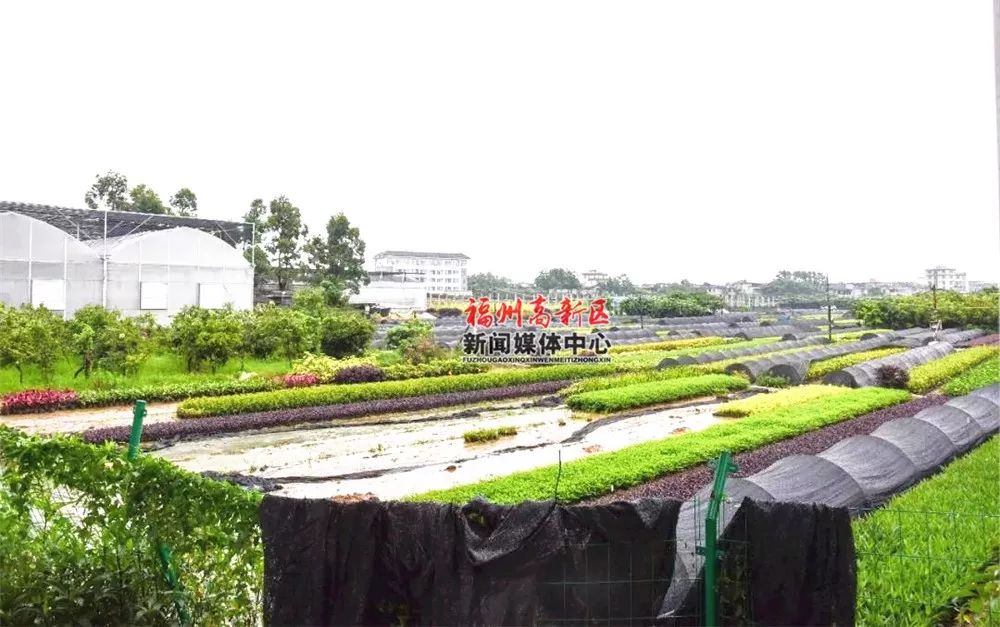 福州高新区最新中小学规划,福州教育发展潜力最大的区