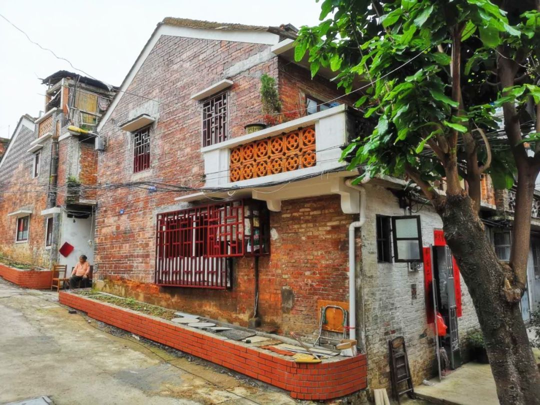 不再水浸、拐角见绿…藏在这里的旧时光与烟火气，更加绚丽