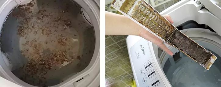洗衣机加水有臭味怎么办,洗衣机污垢和霉菌