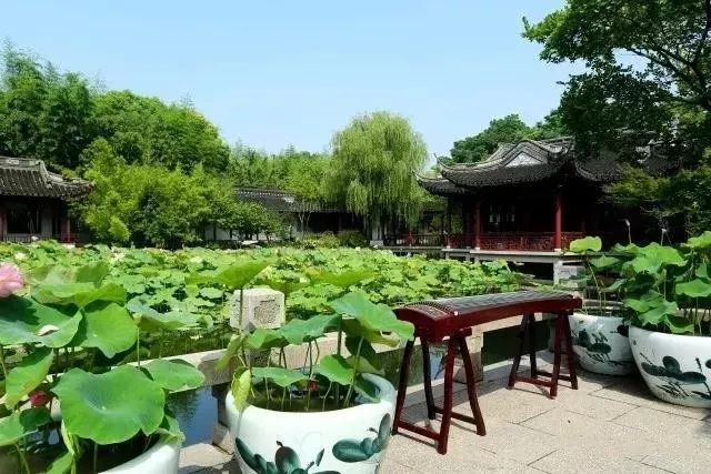 上海赏荷花最好的地方,上海秋冬拍荷花最佳地点