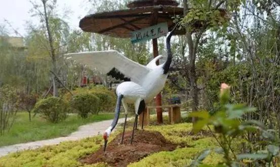 海洋夏令营,2017北戴河夏令营