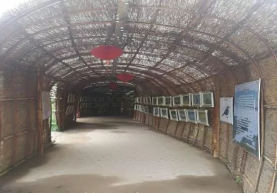 海洋夏令营,2017北戴河夏令营