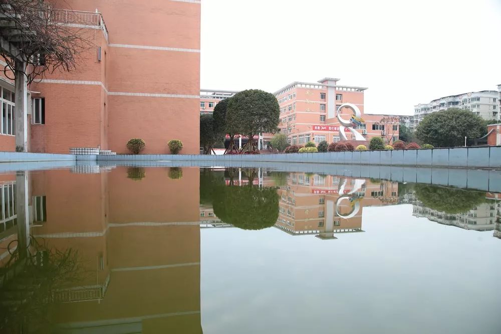 内江六中唐昭强人大代表,内江六中校长唐昭强图片