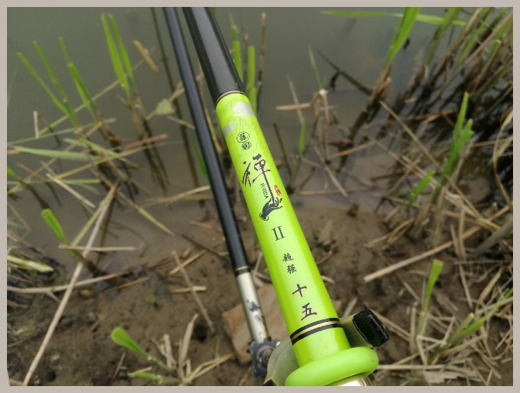 狂拉餐条,狂拉餐条鱼视频