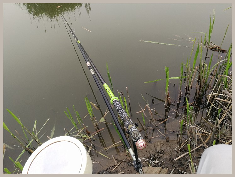 狂拉餐条,狂拉餐条鱼视频