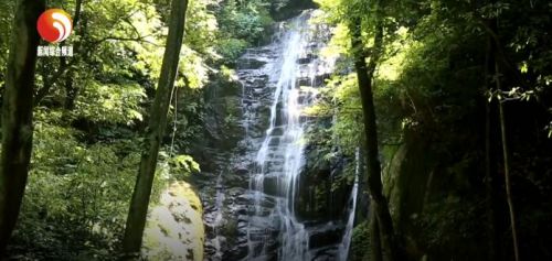 「绿色示范区」庐山西海：大上快上项目写好“山水岛文”文章