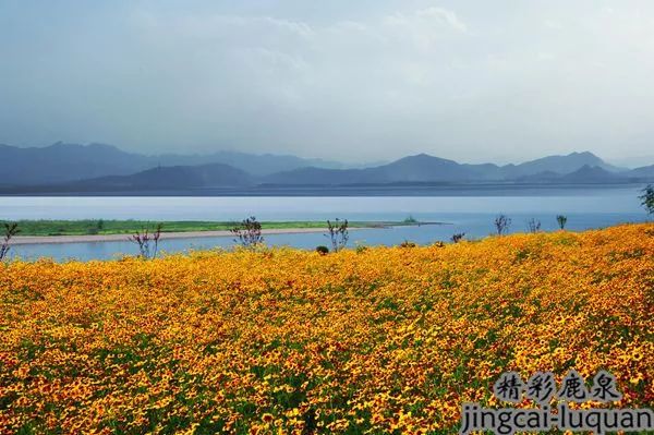 鹿泉，令人向往的梦想之城，感谢在最美的年华遇见你！