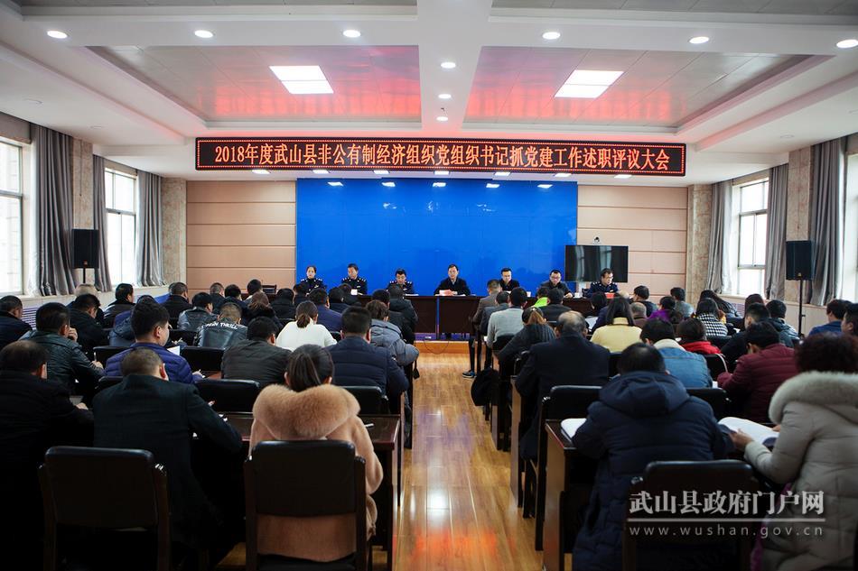 武山县大力提升非公*党**建工作整体水平