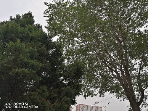 华为nova5i参数配置详情图片,nova5i与nova5ipro区别